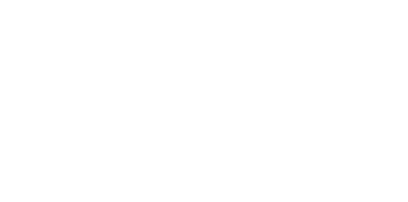 Skillnet Ireland Logo